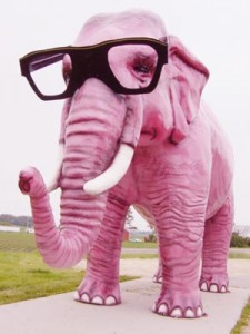 A pink elephant wearing glasses